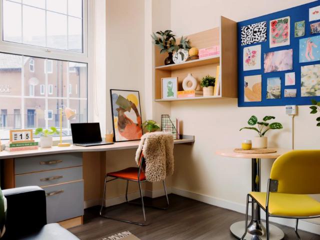 Extra Large Studio
