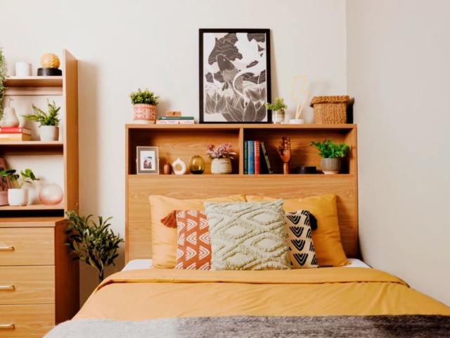 Extra Large Studio
