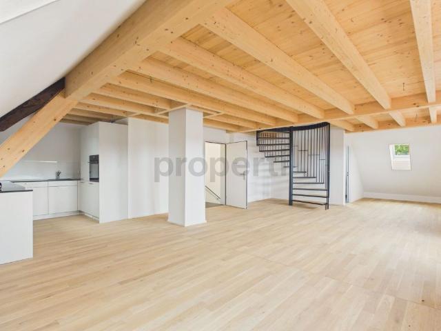 Extraordinary duplex apartment with architectural highlight