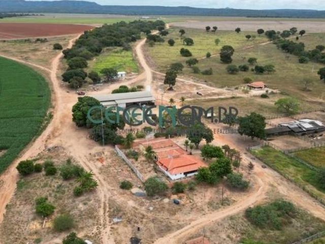 Extraordinária Fazenda Agronegócio de 2.132 ha com 9 Pivôs
