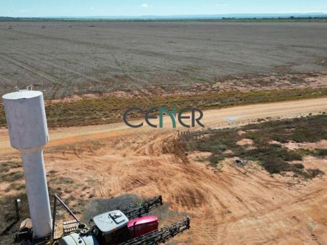 Extraordinária Fazenda Agronegócio de 2.132 ha com 9 Pivôs COM FINANCIAMEDNTO