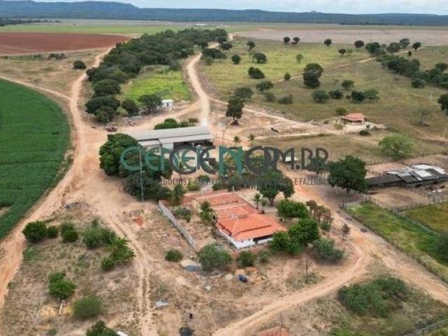 Extraordinária Fazenda Agronegócio de 2.132 ha com 9 Pivôs