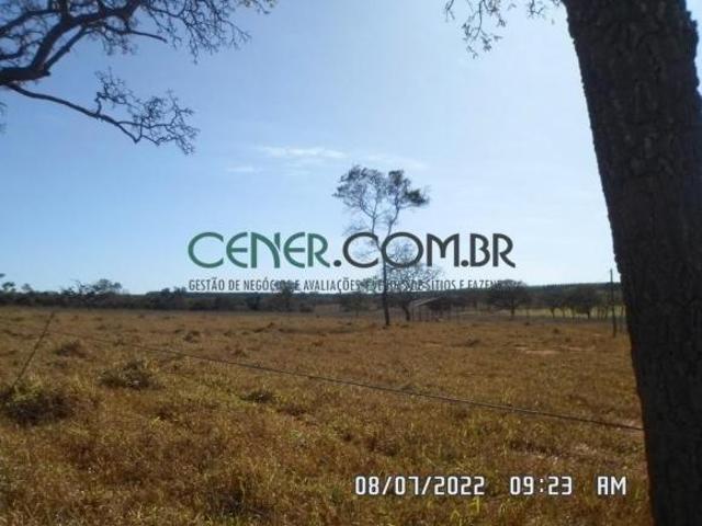 Extraordinária Fazenda de 195,4 ha em Curvelo com muita Água