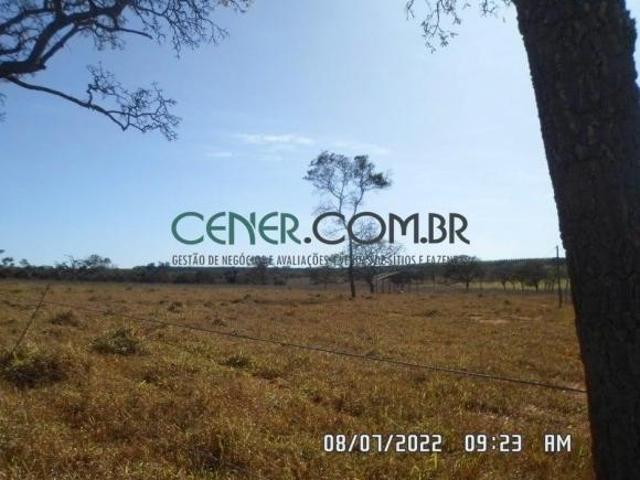 Extraordinária Fazenda de 195,4 ha em Curvelo com muita Água