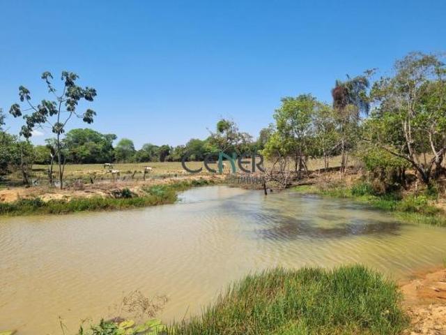 Extraordinária fazenda de 286,5 ha em Pompeu MG