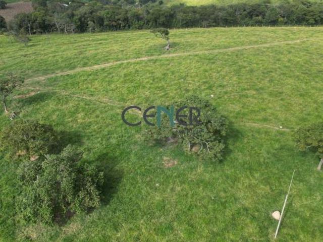 Extraordinária fazenda de 374 ha para lavoura e leite. P. fechada