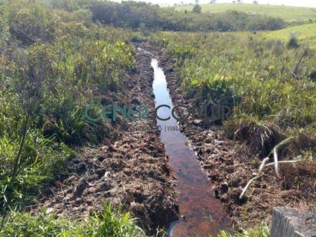 Extraordinária Fazenda de 80 ha com FáBRica de Cachaça e Ótima estrutura em Belo Vale MG