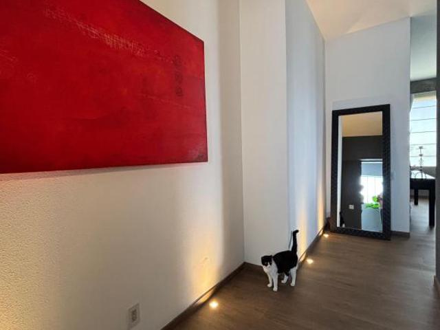 Extraordinario Departamento con Amenidades de Lujo en San Jerónimo, Tizapán, CDMX