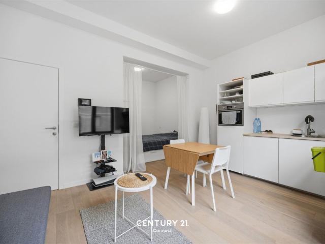 Extremely spacious hip studio City outskirts Leuven