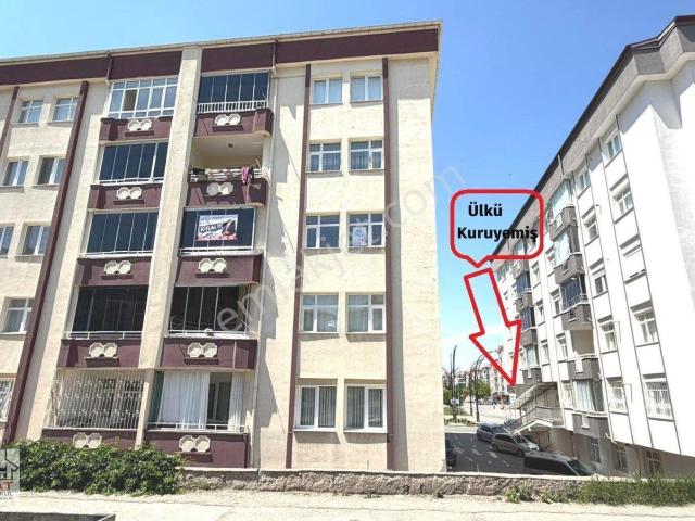 Şeyh Hamit Mahallesinde 40'mt Yol Üzerinde Kiralık 3+1 Daire✨✨✨✨