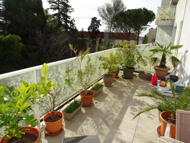 F4 83m2 QUARTIER AIGUELONGUE