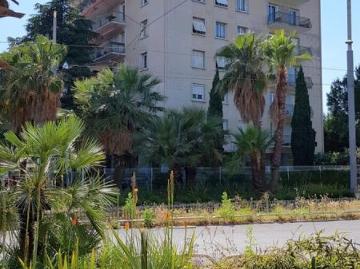 Malbosc Montpellier, La Paillade, Hérault, Languedoc-Roussillon
