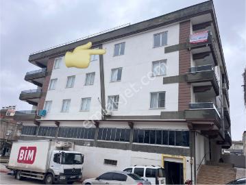 Oğuzeli, Gaziantep, Şahinbey, Kilis ili, Güneydoğu Anadolu Bölgesi