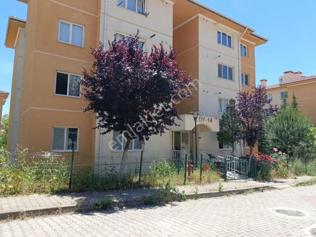 Fırsat Daire