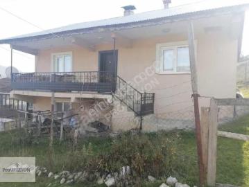 Fırsat İki Katlı Ev Ve Meyve Bahçesi