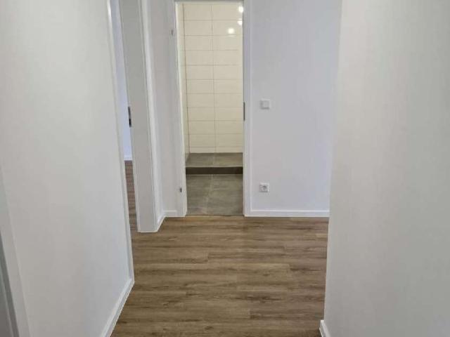 Familiär und im Grünen neu sanierte 2,5 Zimmer Erdgeschoss Wohnung