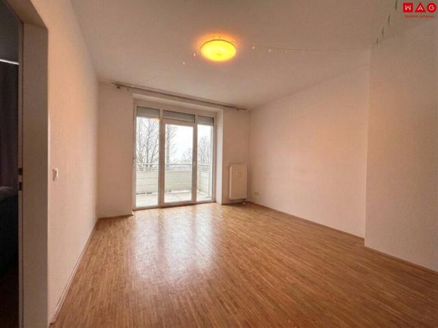 familien aufgepasst! 3 zimmer familien t raum in grüner ruhelage mit balkon top infrastruktur und verkehrsanbindung!