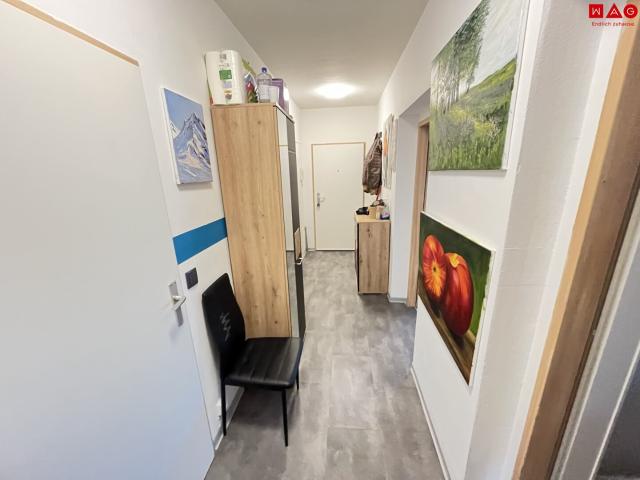 familienfreundliche 3 raum wohnung erdgeschoß und loggia übernahme der küche möglich