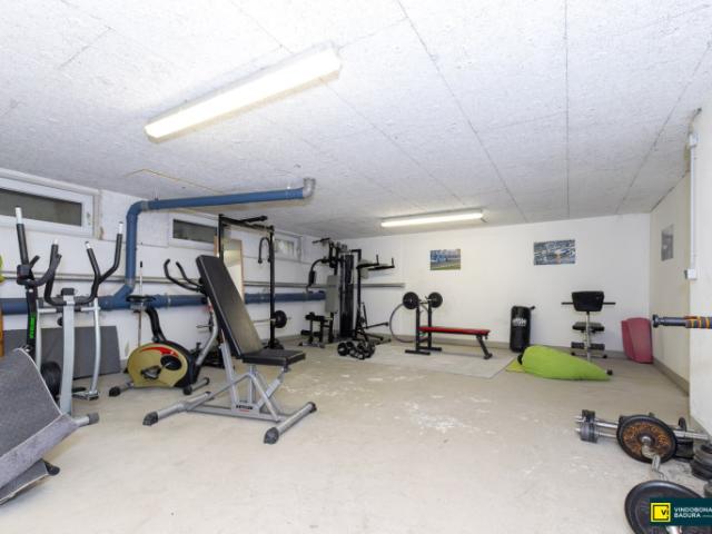 Familienfreundliche 3 Zimmer Gartenwohnung inkl. Garagenplatz Nähe Wien