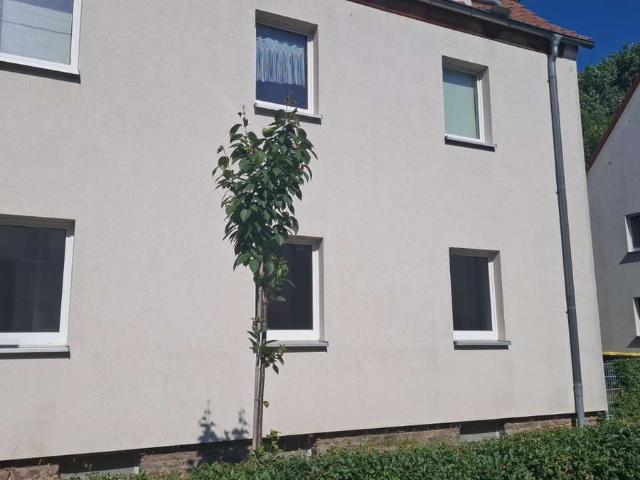 familiengerechte sanierte 4 Raum Wohnung