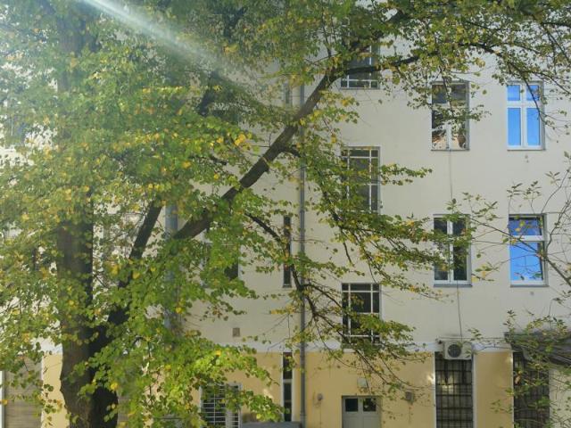 Familienglück im Herzen von Tegel