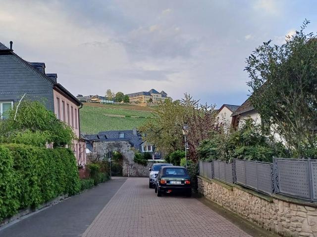 Familienidyll mit Blick auf Schloss Johannisberg