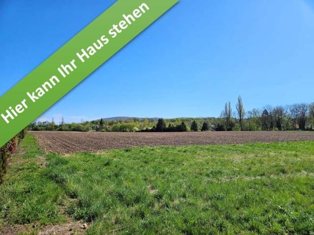 Familienleben auf einer Ebene im kommenden Baugebiet in Bad Harzburg