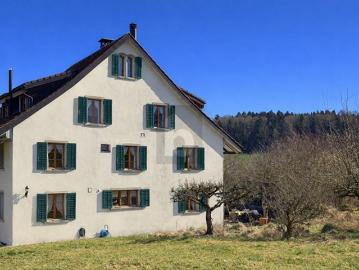 Illnau-Effretikon, Bezirk Pfäffikon, Kanton Zürich