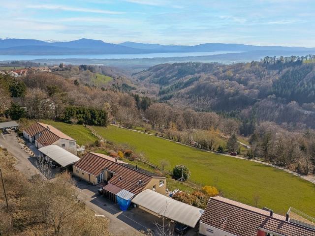 Familienvilla mit Panoramablick wird renoviert