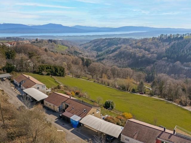 Renovierung Familienvilla mit Panoramablick auf den Genfersee