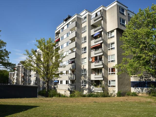 Familienwohnung am Stadtwald / 2.OG Rechts
