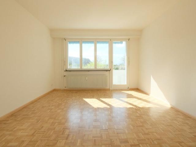 Familienwohnung im Grünen an der Stadtgrenze zu Basel