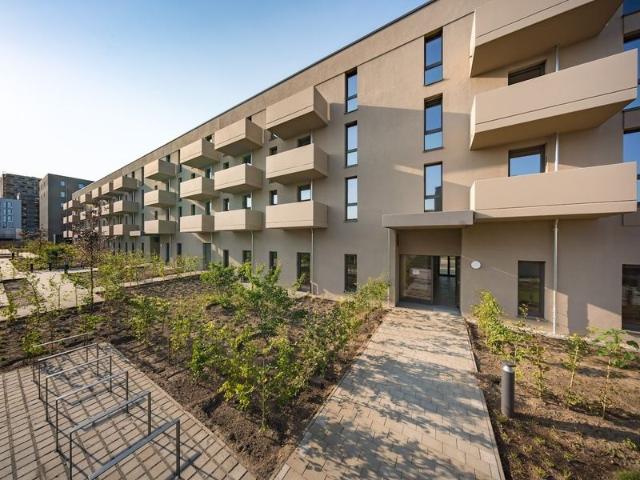 Familienwohnung im Neubau