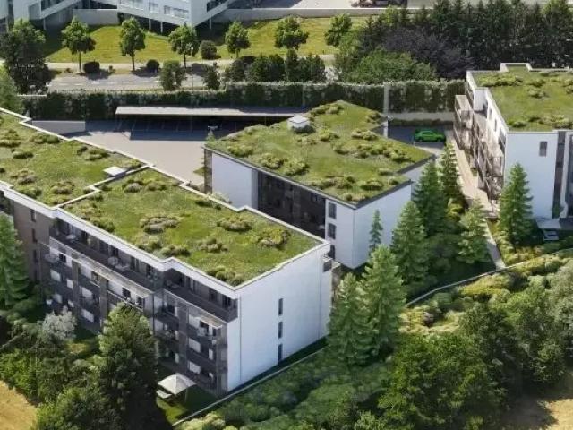 Familienwohnung mit Westausrichtung | 3 Zimmer | Erstbezug | Miete
