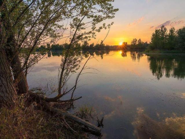 FAMILIENWOHNEN AM GRILLENSEE | 4–5 Zimmer ab 99 m² | Natur, Ruhe & viel Platz – nur wenige Minuten von Leipzig