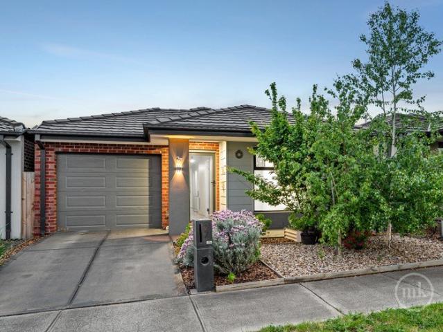 Family Comfort, Modern Space