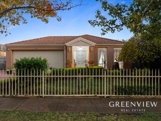 Family Comfort, Space & Entertaining on a Generous 597sqm Allotment