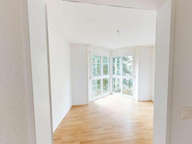 Family apartment in the countryside