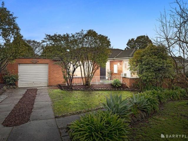 Family gem with incredible scope