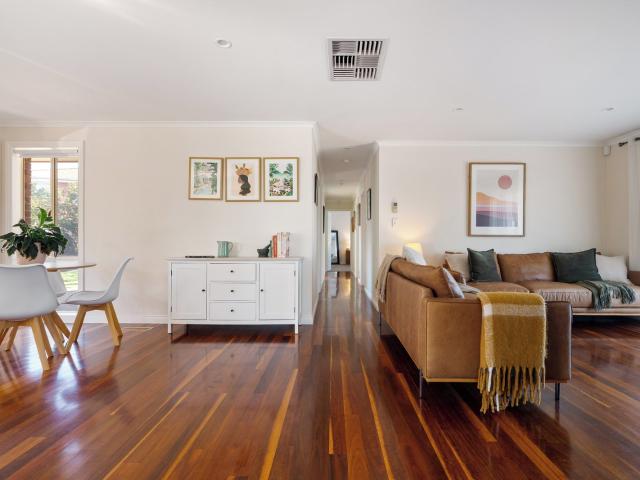 Family Entertainer in Coveted Court Locale