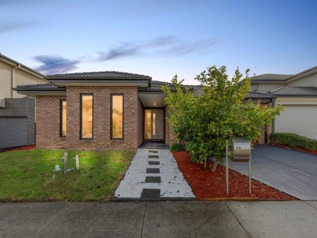 Family Entertainer in Cranbourne East