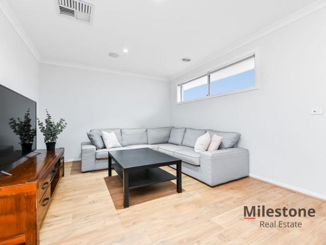 Family Entertainer in Eliston Estate!