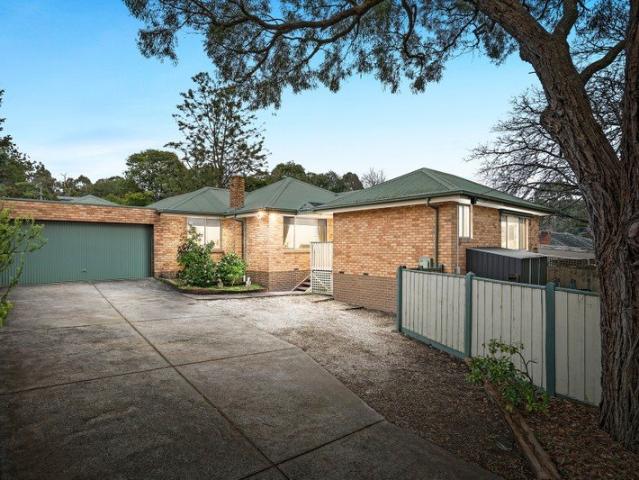 Family Entertainer in the Leafy Birts Hill Area