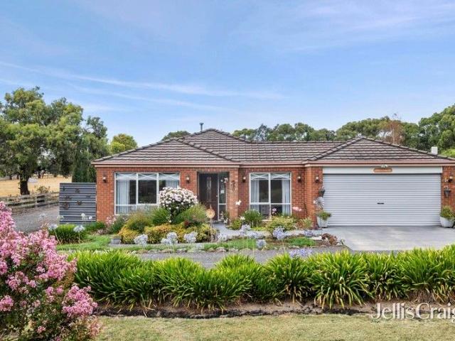 Family entertainer or tradies dream