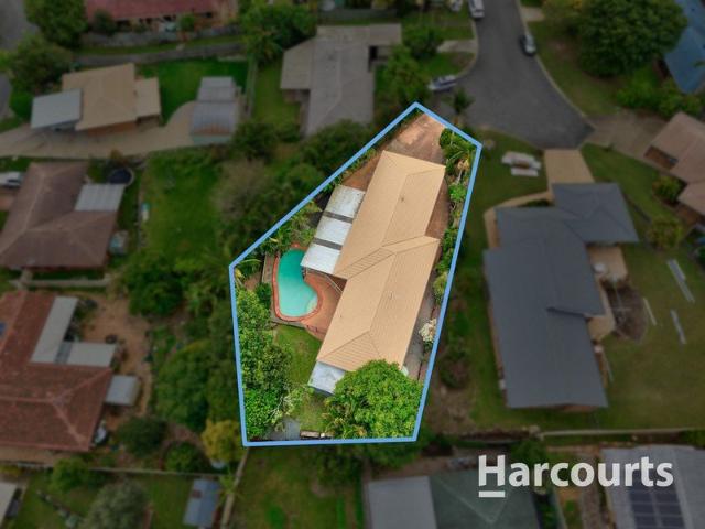 Elevated Family Entertainer with Pool in Quiet Cul de Sac