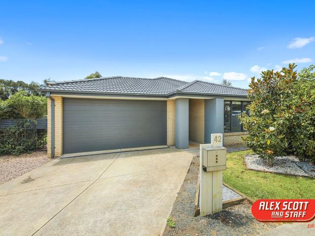 Family Friendly Home in Convenient Location!