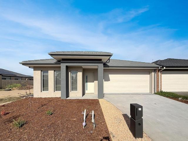 Family Home!