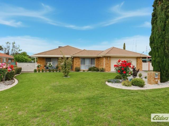 Family Home with Multiple Living Areas and Exceptional Outdoor Features!