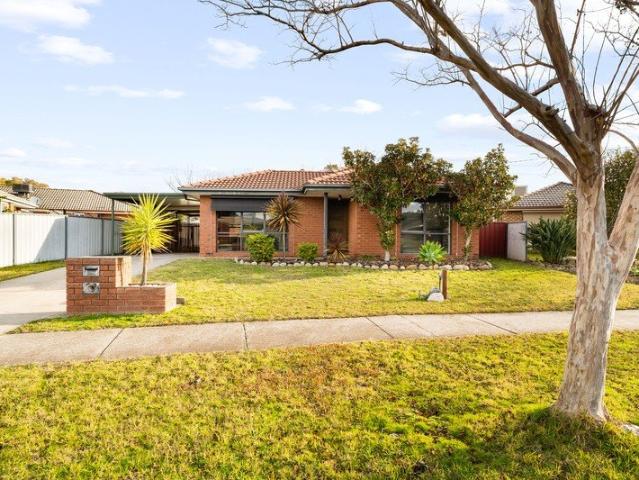 Family home with great shedding