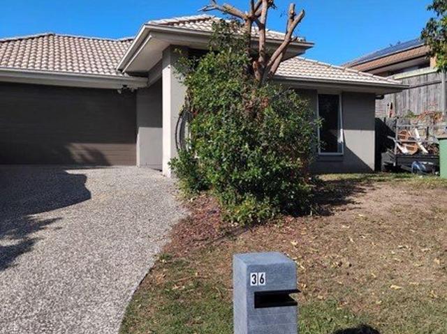 FAMILY HOME ON WHITMORE 732m2 Land area